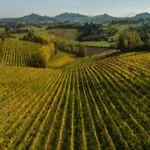 Tuscan With Pool 別荘